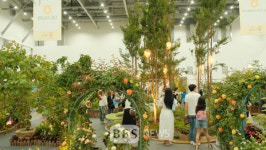 대구꽃박람회 성황리 폐막...관람객 3만 8천여명