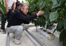 [포토뉴스]강호동 농협중앙회장, 강원도 철원 파프리카·사과 재배농가 현장 방문