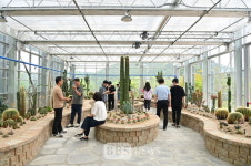 주왕산 청송솔빛정원으로 힐링산책 오세요