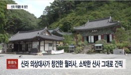 [숨은 절을 찾아서] 충북 최고(最古) 사찰 월리사 금계국 물결 넘실
