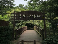 서귀포시, 정모시 도시숲 아름다운 도시숲 50선 선정