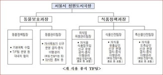 서울시, 지자체 첫 개 종(犬種) 감별 검사체계...선진 동물복지 문화 정착