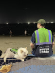 제주 댕댕이 안전지킴이 허진무씨 누군가는 우리로 인해 덜 겁나는 밤길을 걸었으면