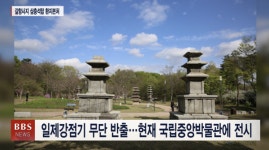 국보 갈항사지 동서석탑 김천 환지본처 급물살 타나 
