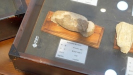 한국불교대학, 어린이•청소년 포교의 장.. 화석 박물관 개관