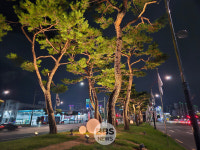 대구 동구 반야월삼거리 야간경관 개선