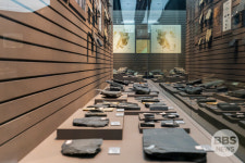 달성화석박물관 공식 개관...기념 특별전도 개최