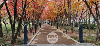 대구시, 추억의 가을길 운영...단풍 아름다운 23개소