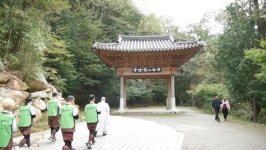 성주사 가을 삼보일배 정진... 법안스님 단풍빛 마음들, 세상에 장엄되길