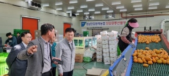 [포토뉴스]박범수 농식품부 차관, 김해 진영읍 단감 생산농가와 APC 찾아