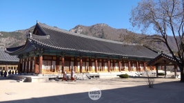 운문사, 500나한과 함께한 100일간의 수행 여행 회향