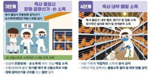 충남 청양 산란계 농장에서 'H5형 조류인플루엔자' 항원 확인