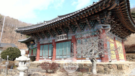 [蛇·刹 1] 뱀에 미안한 비구니스님...세종시 비암사