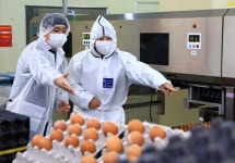 [포토뉴스]송미령 농식품부 장관, 가축방역과 대설 피해 현장 점검