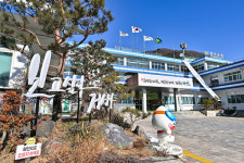 정선군, 생성형 AI ChatGPT 팀플랜 도입