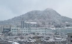 [포토뉴스]3월에 춘설 내린 춘천 봉의산...철원 14cm, 춘천 8.9cm 등 내려