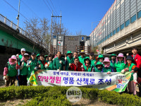 천내천에 봄꽃 활짝…화원읍 새마을회, 명품 산책로 조성