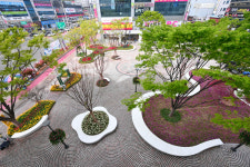 달성군, 봄꽃 정원으로 새단장…도심 속 봄 정취 가득