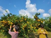 오순금 제원하늘농원대표 제주 찾는 관광객, 나와 인연 맺은 가족...그 이상 답은 없다