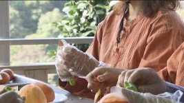 각광받는 치유산업...숲·선명상 등 불교계 프로그램 기대감