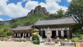 화마를 피해 지켜낸 성보, 대전사 보광전 단청·벽화 특별전 개최