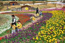  달성군 세천늪테마정원, 대구시 최초 지방정원 공식 등록