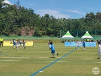 유소년 축구 페스티벌 영덕 풋볼페스타 서머리그 성료