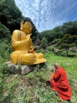 용인 와우정사, 고라니 숲 초전법륜상...글로벌 전법 다짐