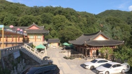 의왕 청계사 대형 산불로부터 소중한 사찰숲 지켜요