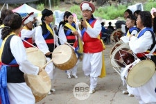 핫플 문경 봉천사, 보랏빛 개미취 축제 개막