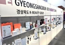 경주 APEC 정상회의 31일 개막...경북도, 현장 점검 총력