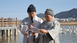 부산불교환경연대, 낙동강 큰고니 먹이주기... 공존가치 실천