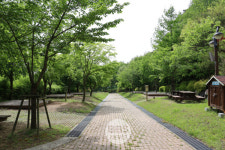 팔공산 도학야영장, 3월 1일 기지개… 도심 속 숲속 힐링 시작된다