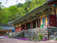 금산 영천암·청양 장곡사, 조선 건축유산 보물 승격