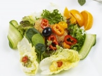 섬유소 위주 식단, 당뇨병에 좋아