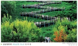‘하늘공원 가는 길’