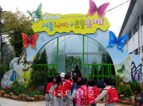 서울에서 즐기는 나비축제~