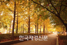 서울의 3所 3色 가을 산책길