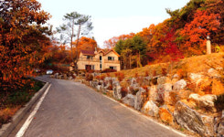 전원주택, 체계적인 단지화와 경향
