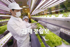 롯데마트안에 농장이 들어왔다!