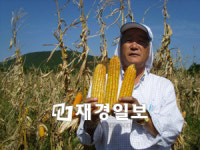 한국공항, 제동목장, 사료용 슈퍼옥수수 개발 성공