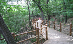 동작구, 도심속 계단 없는 자연산책로 조성