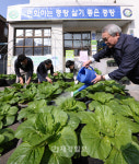 중랑구 면목2동, 배추 재배 통해 주민사랑 실천