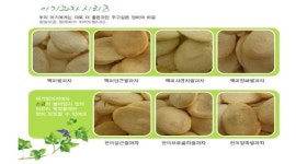 유기농 아기쌀과의 대명사 참살이촌 아토피아기에게도 딱