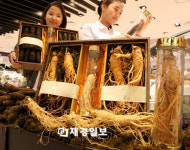 이색 설 선물 '수삼 주작 세트'