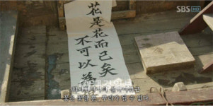 ‘꽃은 꽃일뿐 뿌리는 될수 없다’ 뿌리깊은 나무 수목극 1위’