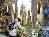 상해 호화 화장실, 제작비만 500만위안