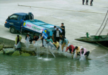 전남연안, 대하 4천500만마리 방류