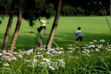 광산구, 나들이 1순위 송산공원 잔디광장 개방