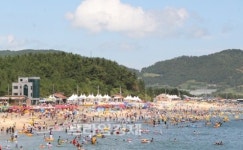 신지명사십리에 하계휴양소 설치 봇물